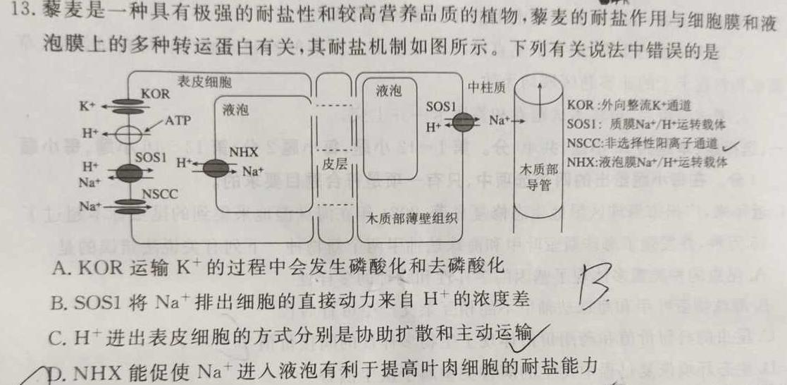 2024年南阳市初三年级三中三模生物