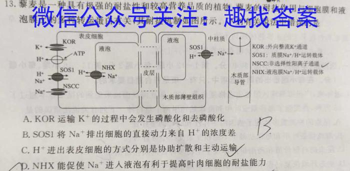 甘南州省示范高中高三2023-2024学年三月联考生物学试题答案