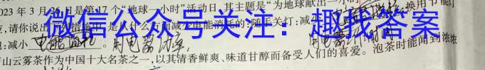 ʡ˴2023-2024ѧȾ꼶ϵڶ¿xԾ