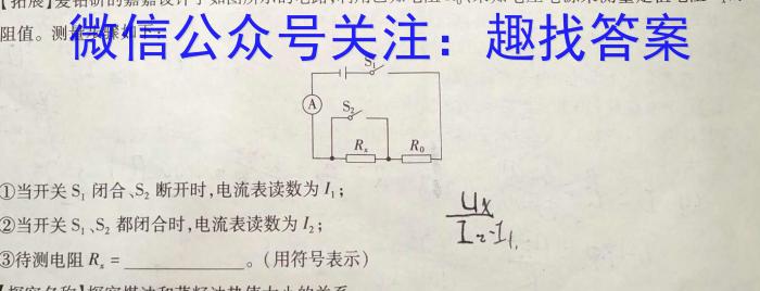 安徽省2024年九年级万友名校大联考试卷二物理试卷答案