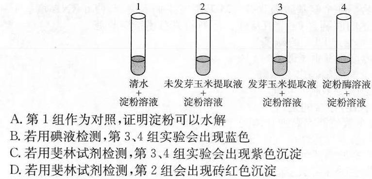 百师联盟 2024届高三冲刺卷(二)2 山东卷生物学部分