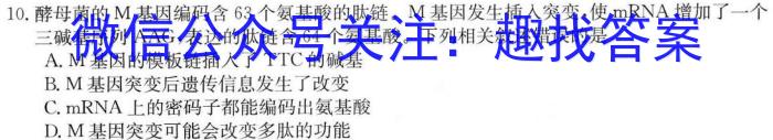 天一大联考2023-2024学年高一年级阶段性测试(三)生物学试题答案