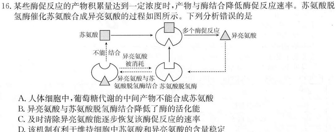 湖北省2024年高二9月起点考试生物