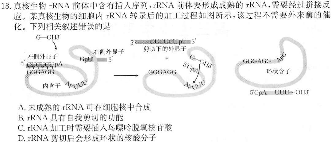 河南省2023-2024学年八年级第一学期学习评价（4）生物学部分