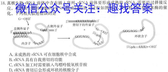 清远市2023-2024学年第二学期“四校联盟”期中联考（高二）生物学试题答案