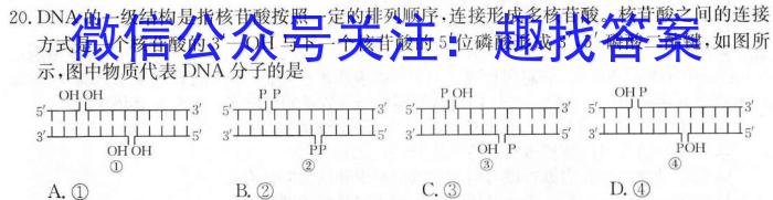 浙江强基联盟2024年8月高三联考(25-06C)生物学试题答案