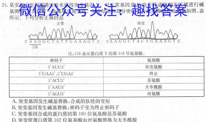 天一大联考 湖南省2024届高三12月联考生物学试题答案