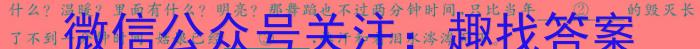 安徽省阜阳市2023-2024学年度高三教学质量统测试卷(24-360C)语文