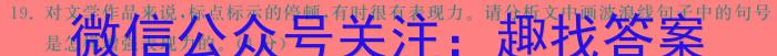 2024年陕西省初中学业水平考试·全真模拟卷（二）语文