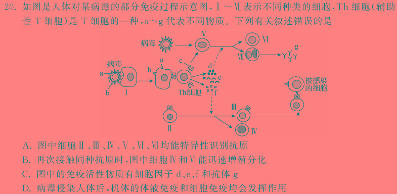 2024年2月黑龙江省“六校联盟”高三年级联合性测试生物学
