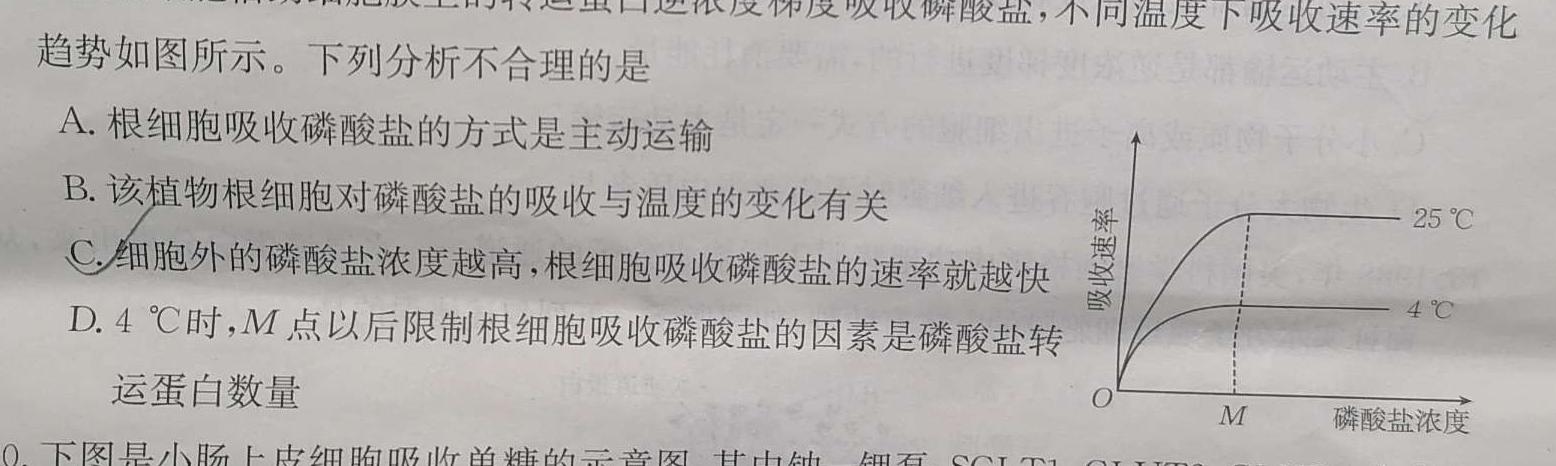 邕衡金卷·南宁市第三中学(五象校区) 2024届高三第一次适应性考试生物学部分