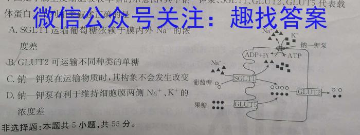 宿州市、市示范高中2023-2024学年度第二学期期中教学质量检测（高一）生物学试题答案