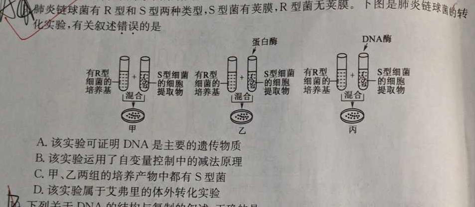 安徽省2023-2024学年九年级第一学期阶段练习四生物学部分