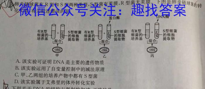 九师联盟·2024届高三3月质量检测（X）生物学试题答案