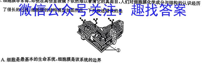 安徽省2025届同步达标自主练习·七年级第六次（期中）生物学试题答案