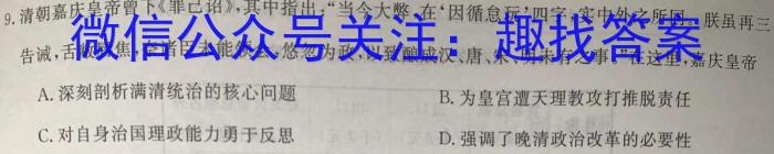 湖北省2024年春季黄冈市高中联校高二年级期中教学质量抽测政治1