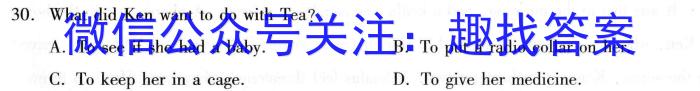 山西省太原市2023-2024学年第二学期高一年级期末学业诊断英语试卷答案