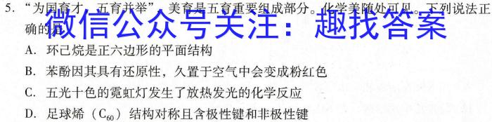 q河南省2024届九年级阶段评估(一) 1L R化学