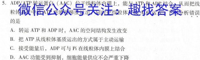 安徽省淮南市寿县寿春中学2024届九年级12月月考生物学试题答案