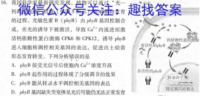 山西省运城市2023-2024学年高一年级第二学期期末调研测试(2024.7)生物学试题答案