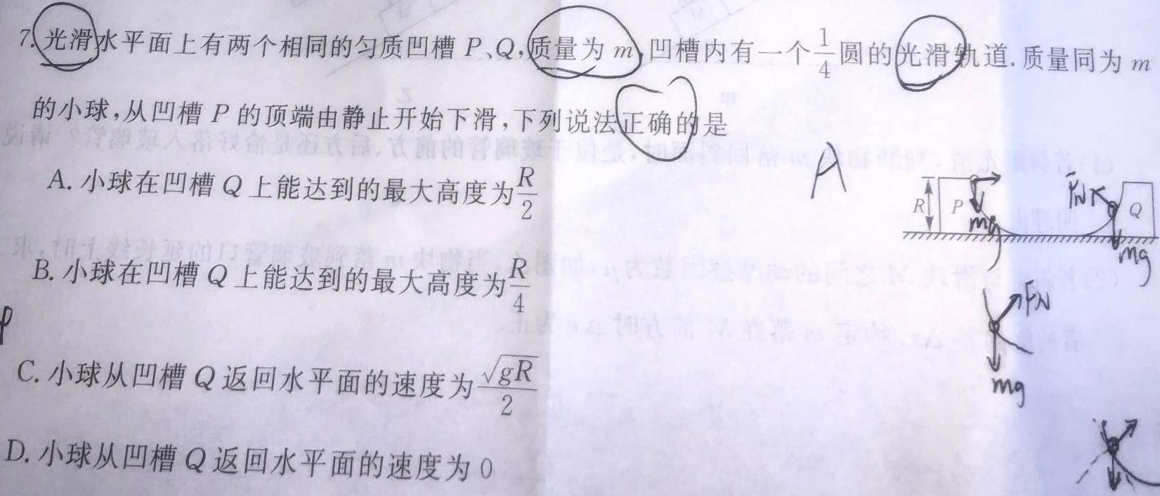 [今日更新]安徽省十联考·2024届高三年级上学期1月期末联考.物理试卷答案