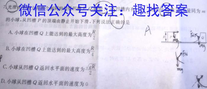 2024年春湖北省知名中小学教联体联盟九年级入学质量检测物理试卷答案