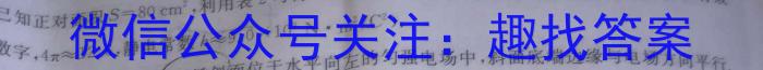 2025届河北省高三试卷9月联考(25-23C)物理试卷答案