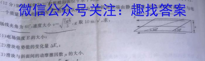 河南省焦作市2024年9月开学考物理试卷答案