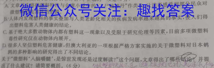 江西省宜春市高安市2023-2024学年度上学期九年级期末质量监测/语文