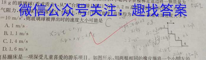 ʦ ˸߶꼶12xԾ