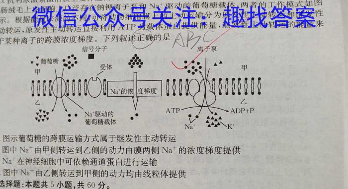 武汉市部分重点中学2023-2024学年度高二上学期期末联考生物学试题答案