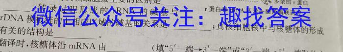 江西省2024届九年级阶段性检测题（12.26）生物学试题答案