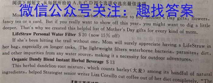 名校计划2024年河北省中考适应性模拟检测（强化型）英语试卷答案