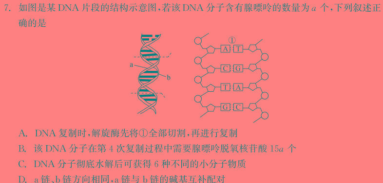 2024年河北省初中学业水平考试 坤卷生物学部分