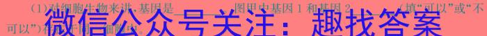 河北省2023-2024学年高一第二学期开学检测考试生物学试题答案