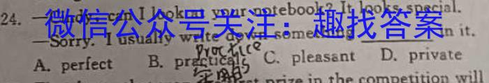 河南省2023-2024学年上学期九年级阶段性评价卷四英语