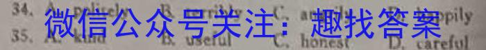 2024年·三湘大联考 初中学业水平考试模拟试卷(三)3英语试卷答案