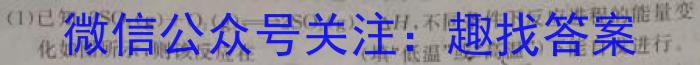 q山东省2023-2024学年度高二年级12月调考化学