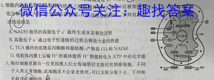 2025届全国高考分科模拟调研卷(五)生物学试题答案