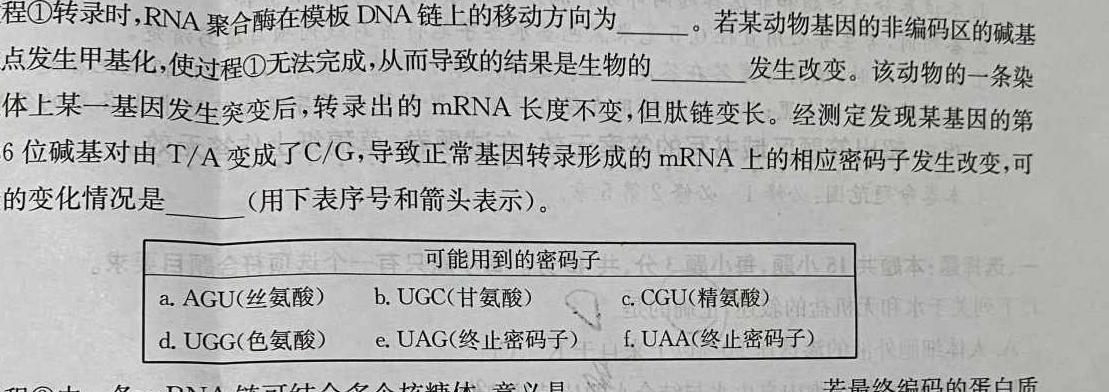 河北省保定市2023-2024学年第二学期高一期末调研考试生物