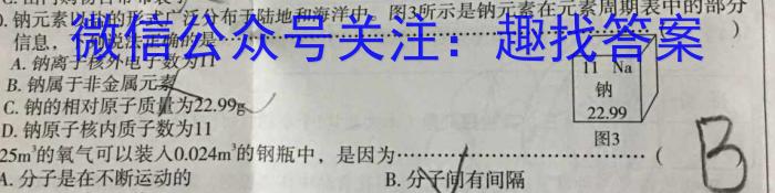 q陕西省商洛市2023-2024学年度第一学期九年级期末检测A化学