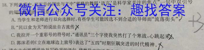 安徽省六安市某校2024届初三阶段性目标检测（七）语文