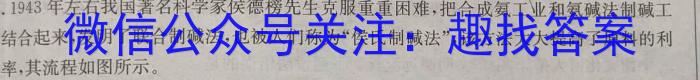 q安徽省2023-2024学年同步达标自主练习·七年级第三次化学