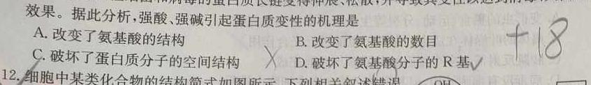 贵州省大方县2023~2024学年度高二秋季学期期末考试(4258B)生物学部分