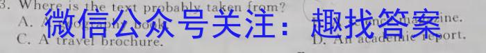 2024普通高等学校招生全国统一考试·模拟信息卷(二)2英语