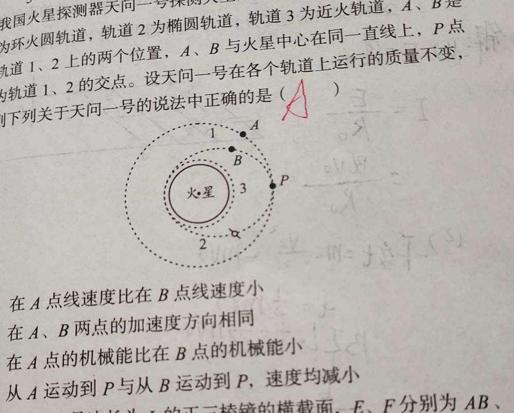 安徽省蚌埠市高中B联盟2024年高一 第一次教学质量评估(物理)试卷答案