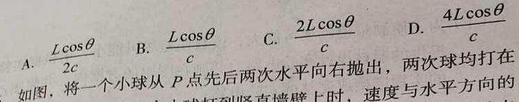 2023-2024学年陕西省高二年级期末测试卷(❀)(物理)试卷答案