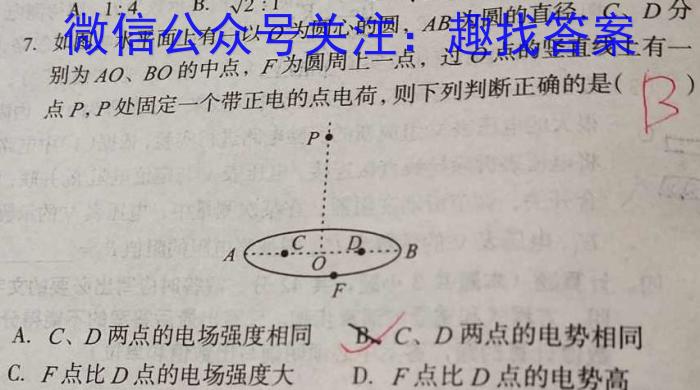 山西省2024届九年级适应性训练题f物理