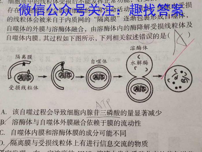 陕西省2023~2024学年度高一第一学期期末质量检测(24426A)生物学试题答案