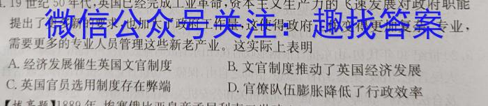 天一大联考 河南省2023-2024学年九年级学业水平诊断(一)&政治